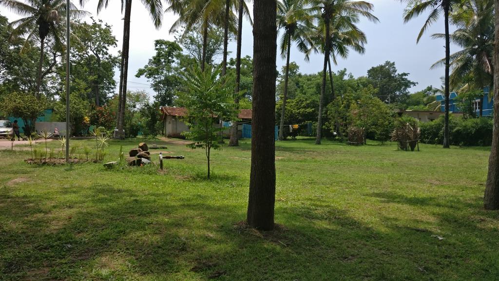 The Shades Holiday Homes กูชาลนาการ์ ภายนอก รูปภาพ